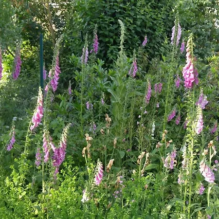 Appartement Haus Nikolaus 4 Kellenhusen