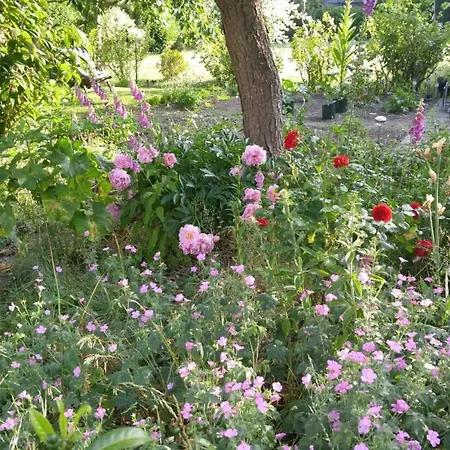 Haus Nikolaus 4 Appartement